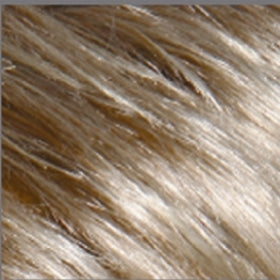 Sophia
