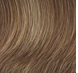 Classic Cut