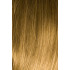  
Available Colours (Hairworld): 24H18